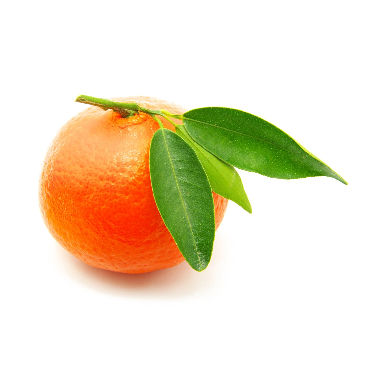 Mandarina