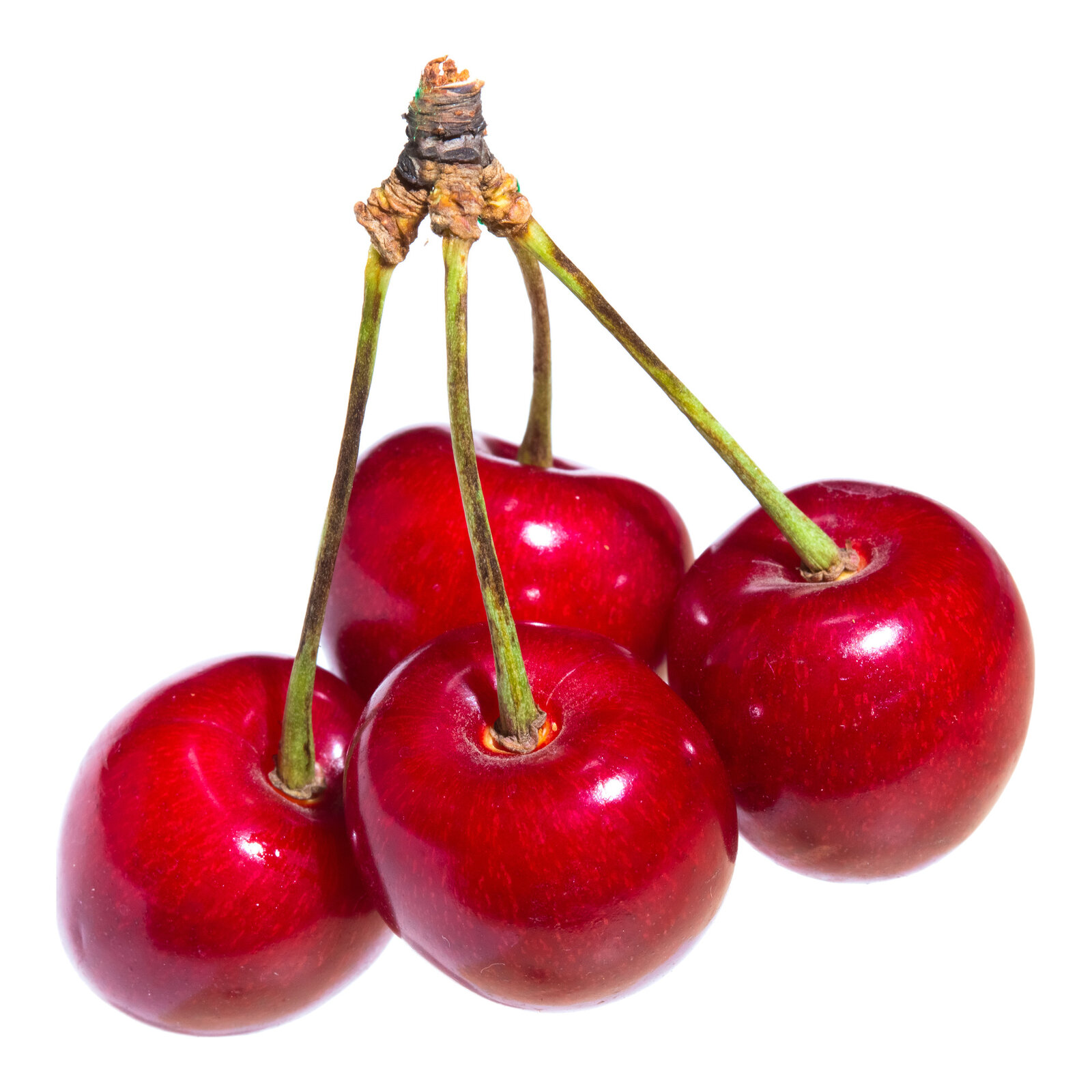 Stubasta trešnja