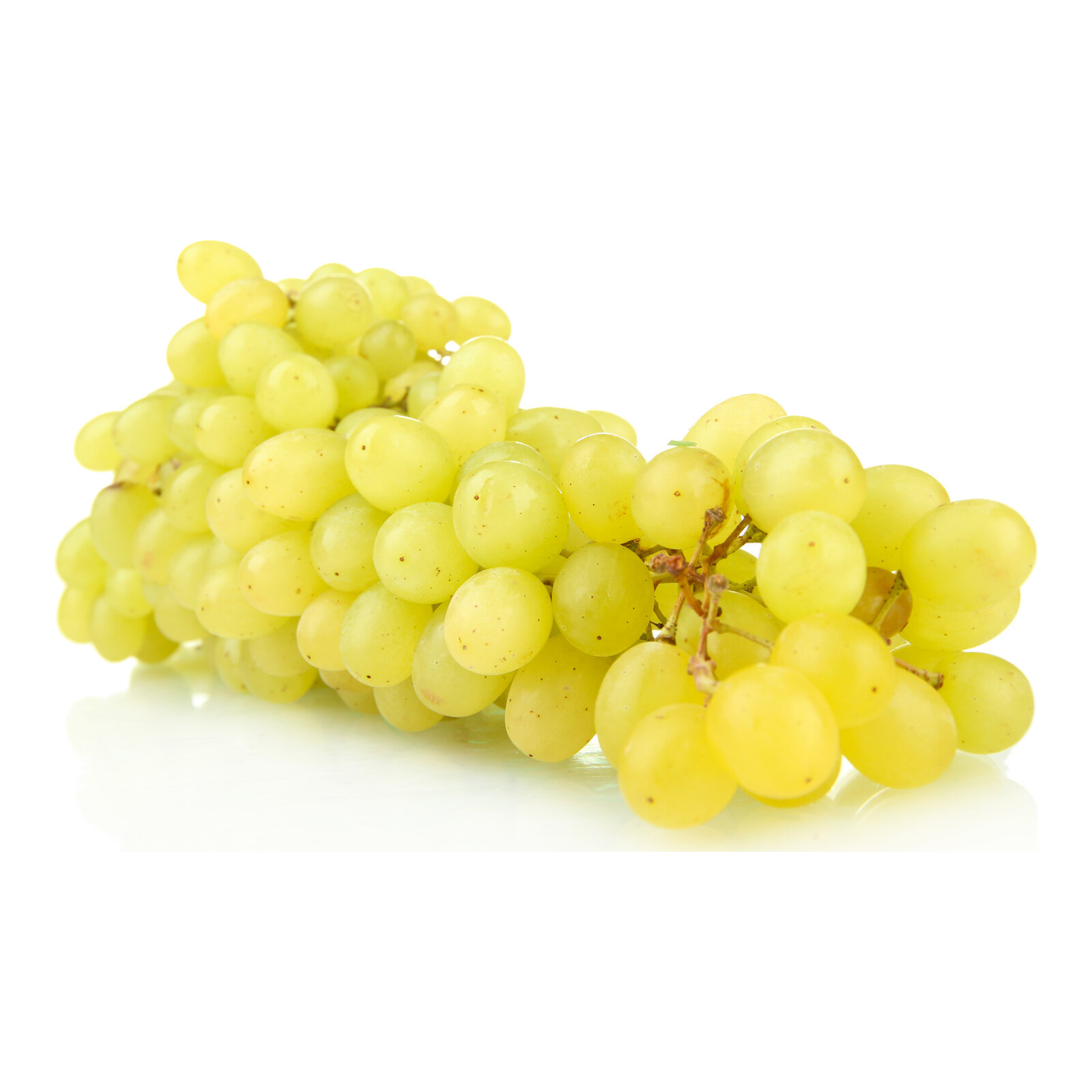 Vinova loza Muskat Italija