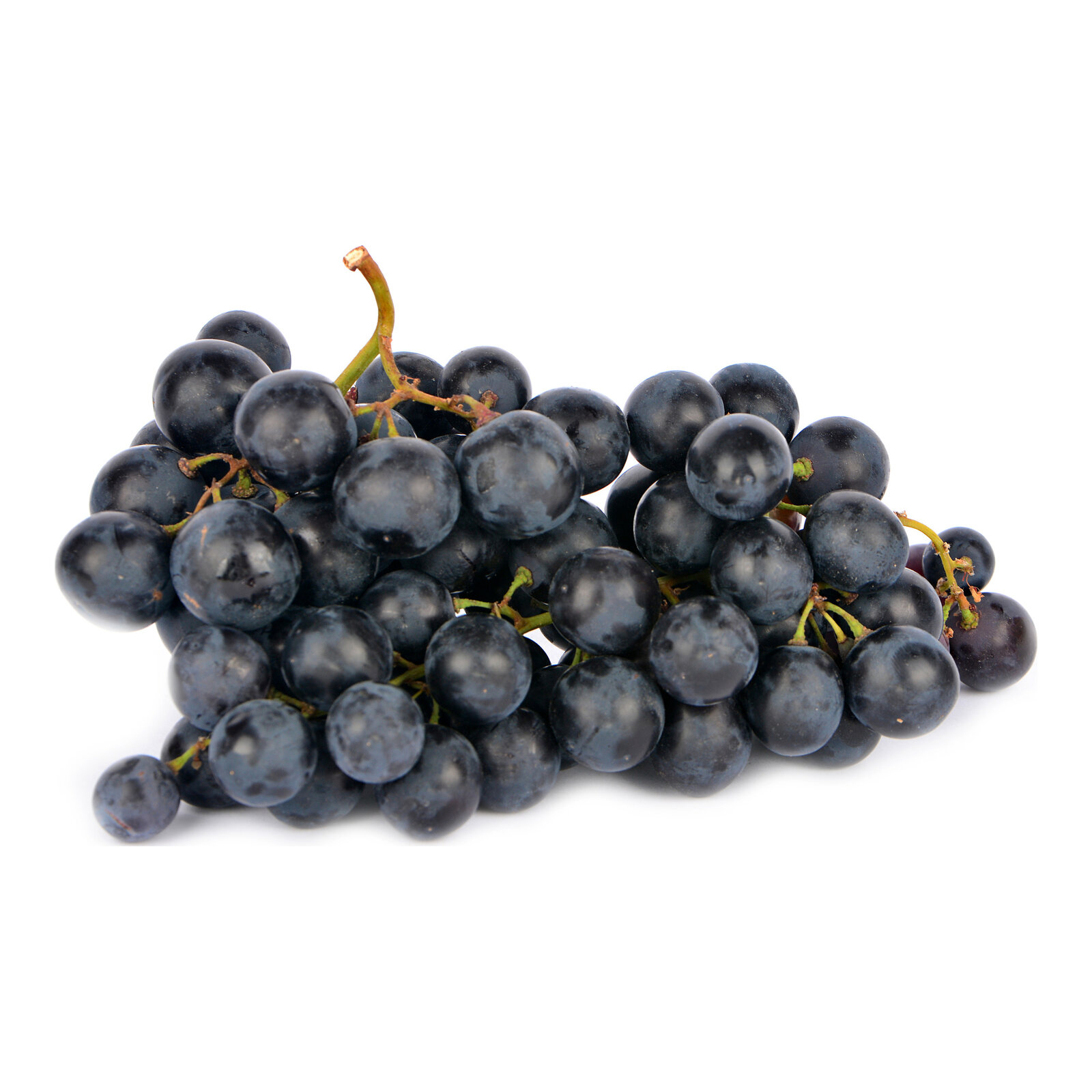 Vinova loza Vranac