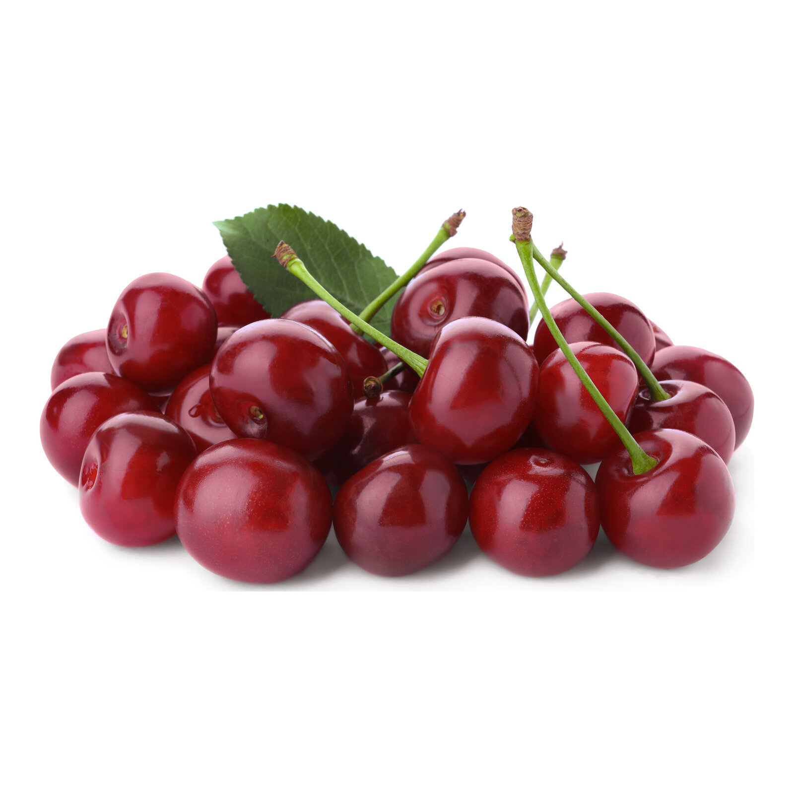 Višnja Šumadinka