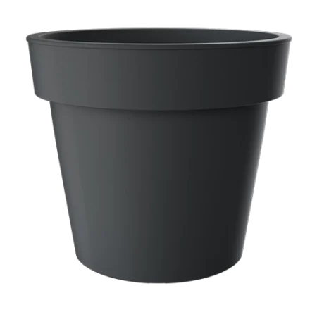 Saksija Melrose sa prstenom crna