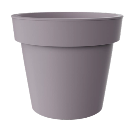 Saksija Melrose sa prstenom f50