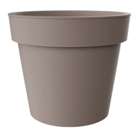 Saksija Melrose sa prstenom f60 moka